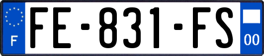 FE-831-FS