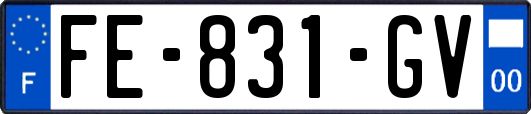 FE-831-GV