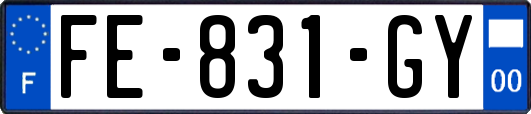FE-831-GY
