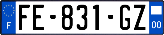 FE-831-GZ