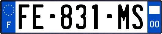 FE-831-MS