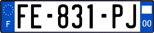FE-831-PJ