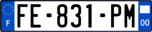 FE-831-PM