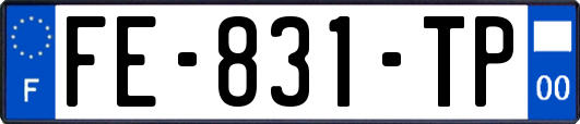 FE-831-TP