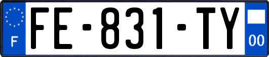 FE-831-TY