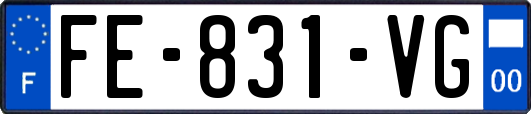 FE-831-VG