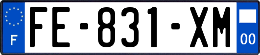 FE-831-XM