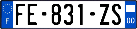 FE-831-ZS