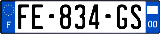 FE-834-GS