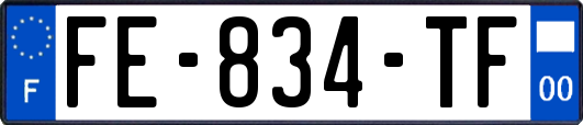 FE-834-TF