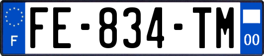FE-834-TM