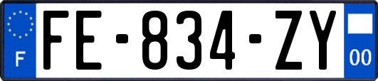 FE-834-ZY