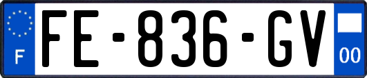 FE-836-GV