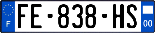 FE-838-HS