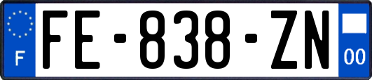 FE-838-ZN