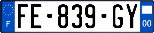 FE-839-GY