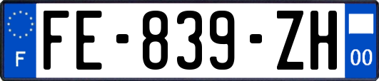 FE-839-ZH