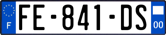 FE-841-DS