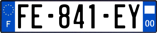 FE-841-EY