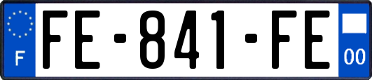 FE-841-FE