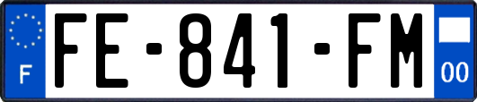 FE-841-FM