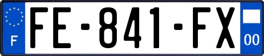 FE-841-FX