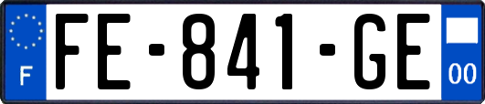 FE-841-GE