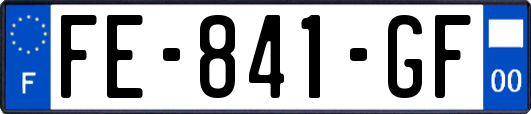 FE-841-GF