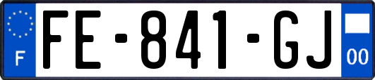 FE-841-GJ
