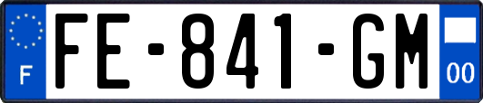 FE-841-GM