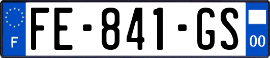 FE-841-GS
