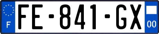 FE-841-GX