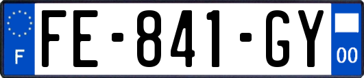 FE-841-GY