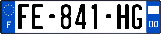 FE-841-HG