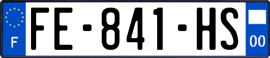 FE-841-HS