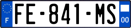 FE-841-MS