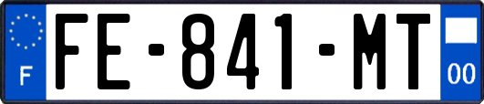 FE-841-MT