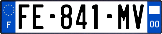 FE-841-MV