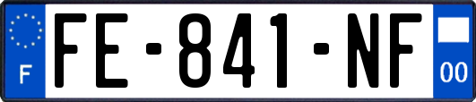 FE-841-NF