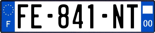 FE-841-NT