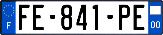 FE-841-PE