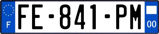FE-841-PM