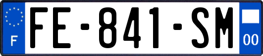 FE-841-SM