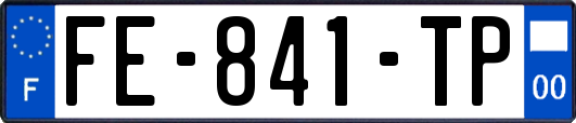 FE-841-TP