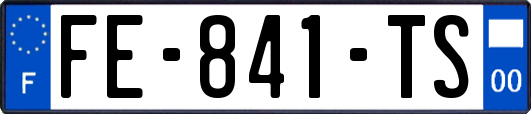FE-841-TS
