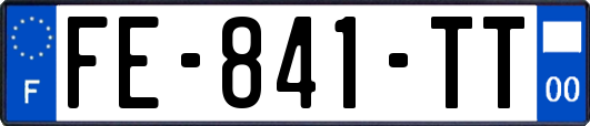 FE-841-TT