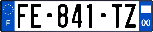 FE-841-TZ