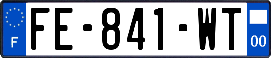 FE-841-WT