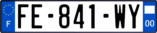 FE-841-WY