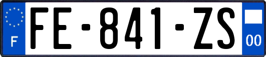 FE-841-ZS